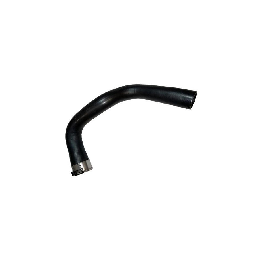 Bugiad 81789 Charger Intake Hose For Nissan Qashqai Ii (J11)