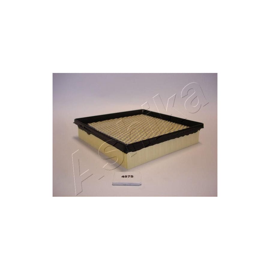 ASHIKA 20-04-487 Air Filter | ML Performance UK Car Parts