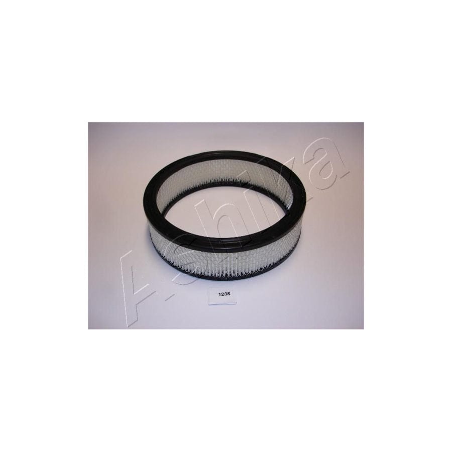 ASHIKA 20-01-123 Air Filter | ML Performance UK Car Parts