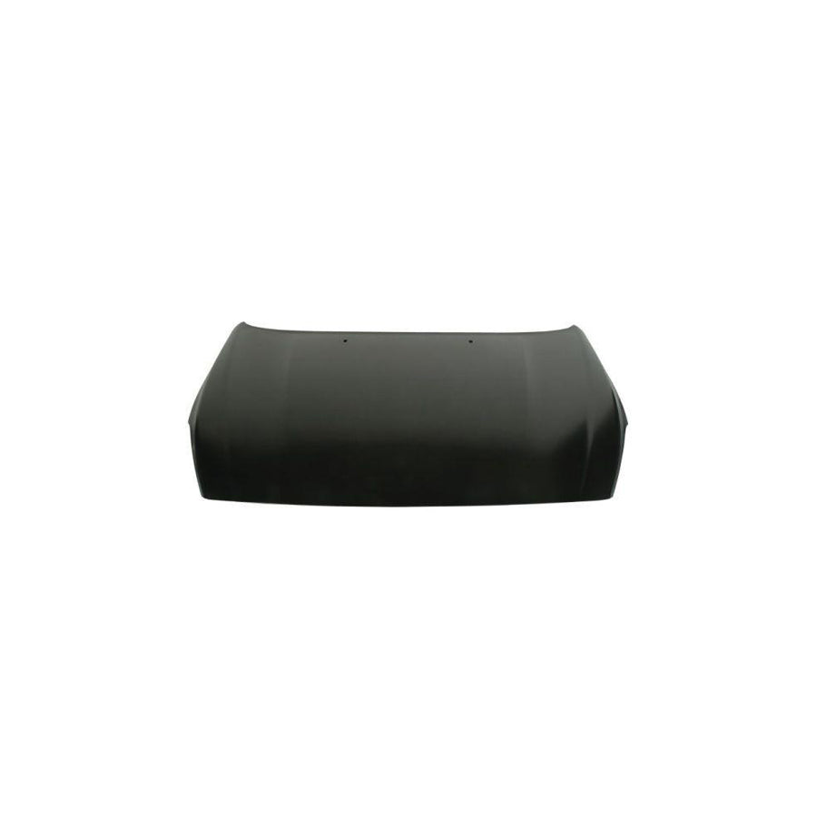 Blic 6803-00-9022281P Bonnet For Volvo S60 II (Y20, 134)