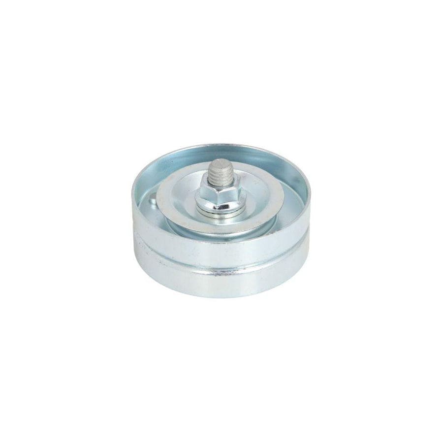 Bta E2B0055BTA Tensioner Pulley