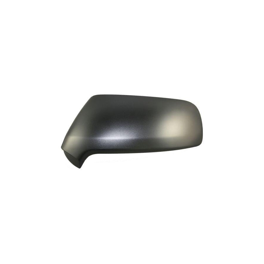 Abakus 0507C03 Cover, Outside Mirror | ML Performance UK