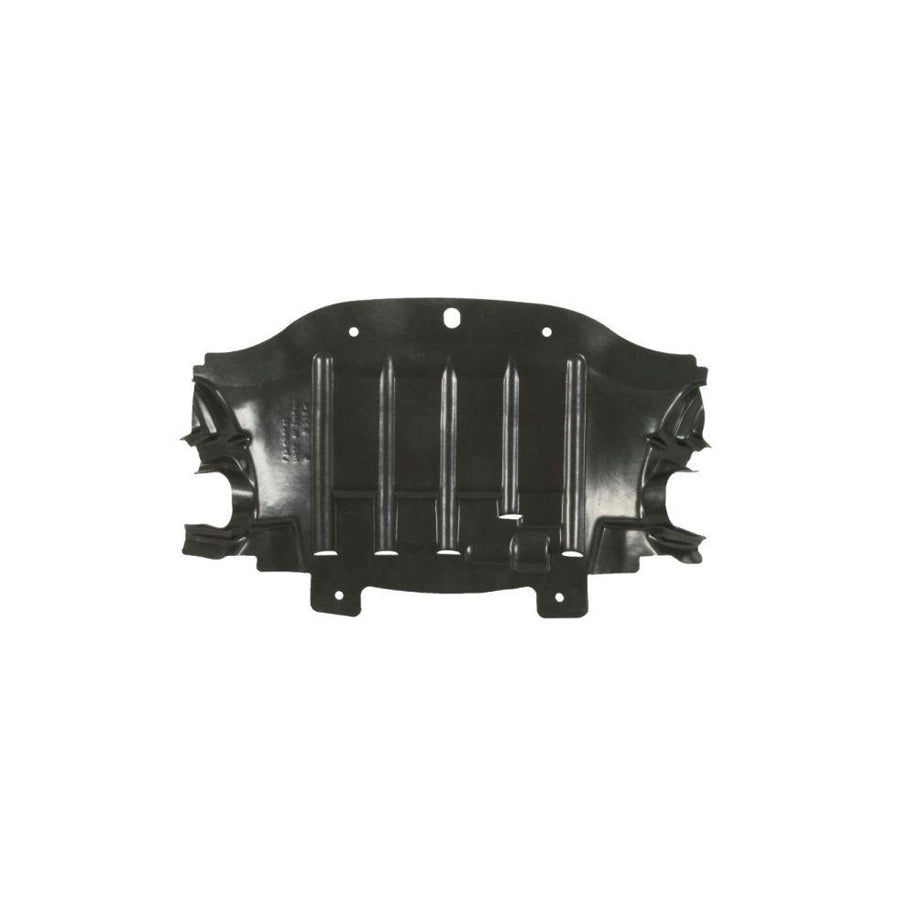 Blic 6601-02-0939860P Skid Plate