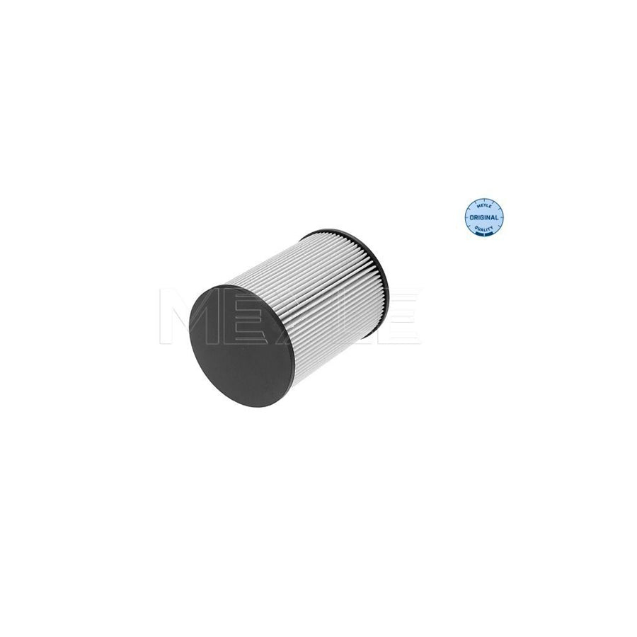 Meyle 100 323 0005 Fuel Filter