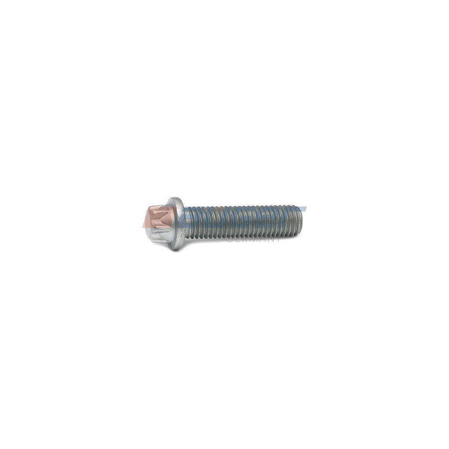 Auger 57603 Screw