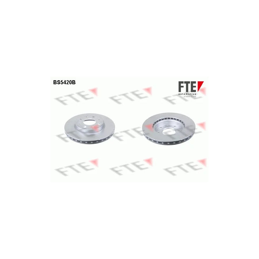 Fte BS5420B Brake Disc | ML Performance UK Car Parts