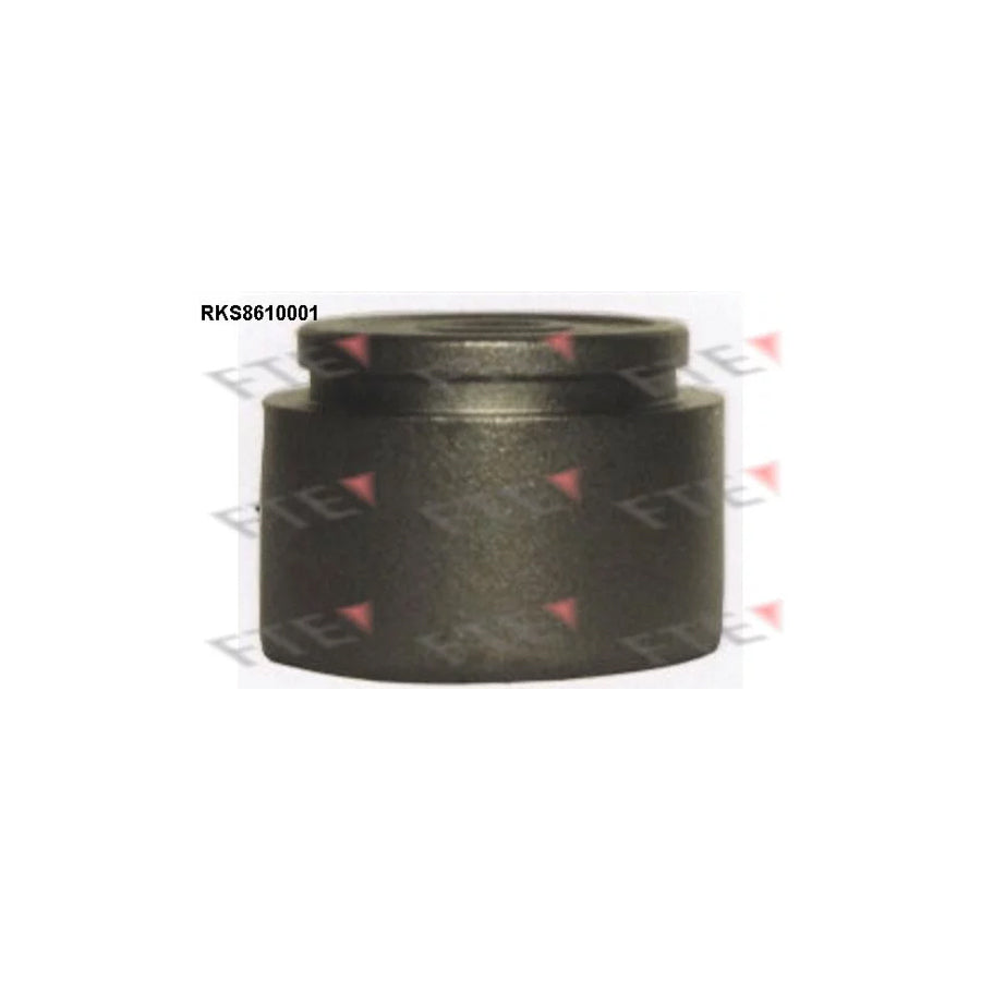 Fte 9313112 Piston, Brake Caliper | ML Performance UK Car Parts