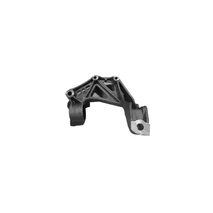 Bugiad BSP20326PROKIT Holder, Control Arm Mounting