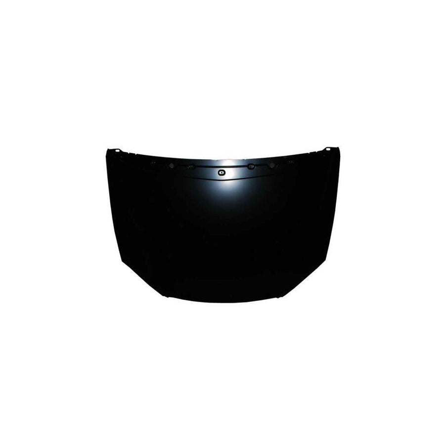 Blic 6803-00-0524280P Bonnet For Citroen C5