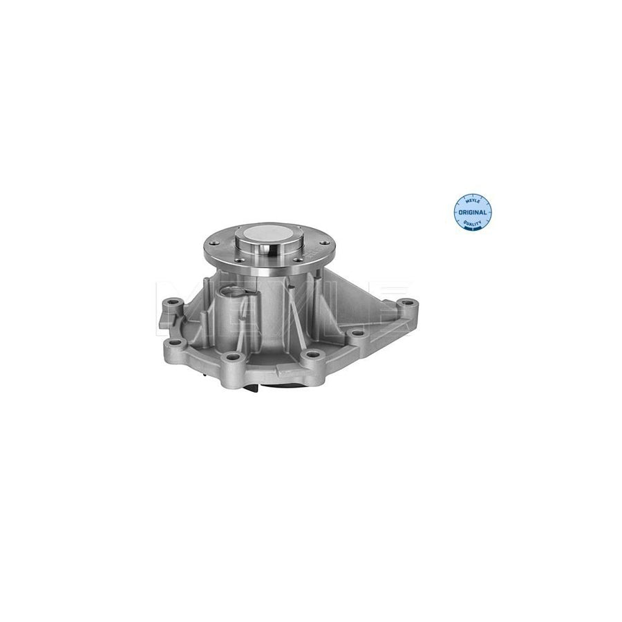 Meyle 12-34 500 6646 Water Pump