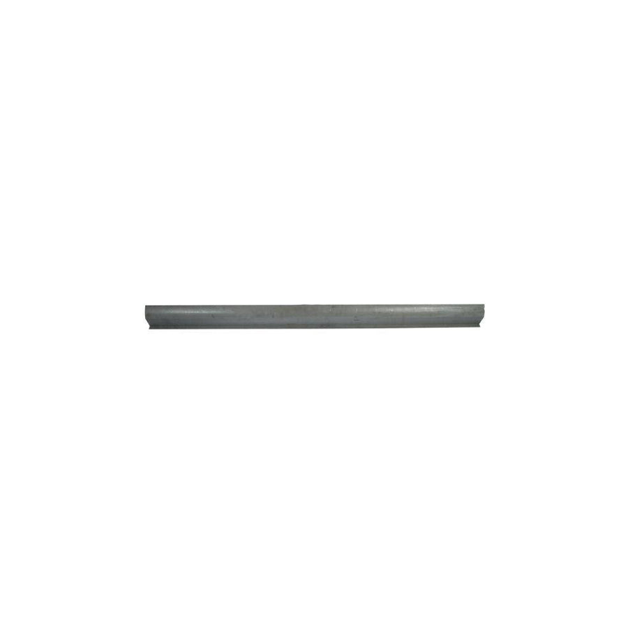 Blic 6505-06-6609015P Rocker Panel