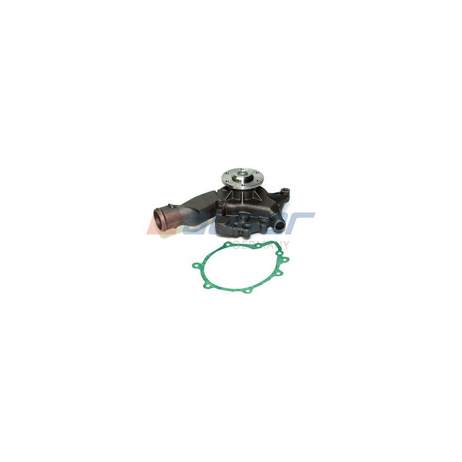 Auger 57702 Water Pump