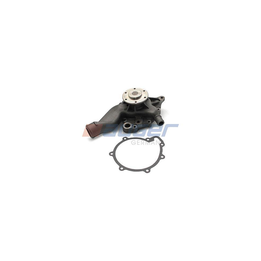 Auger 57701 Water Pump