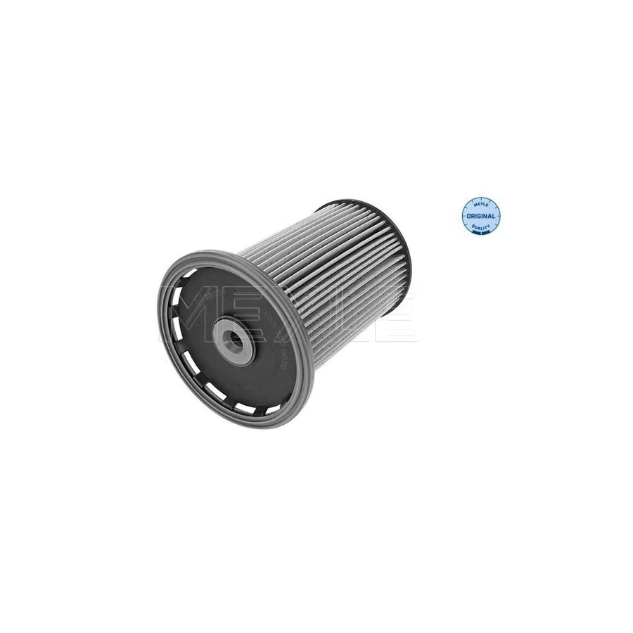 Meyle 100 323 0020 Fuel Filter