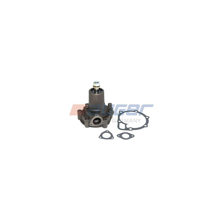 Auger 57761 Water Pump