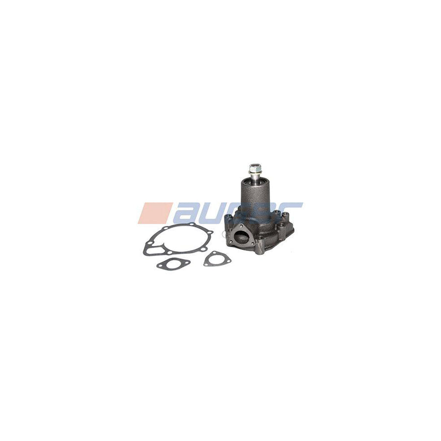 Auger 57760 Water Pump