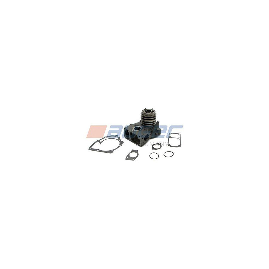 Auger 57723 Water Pump