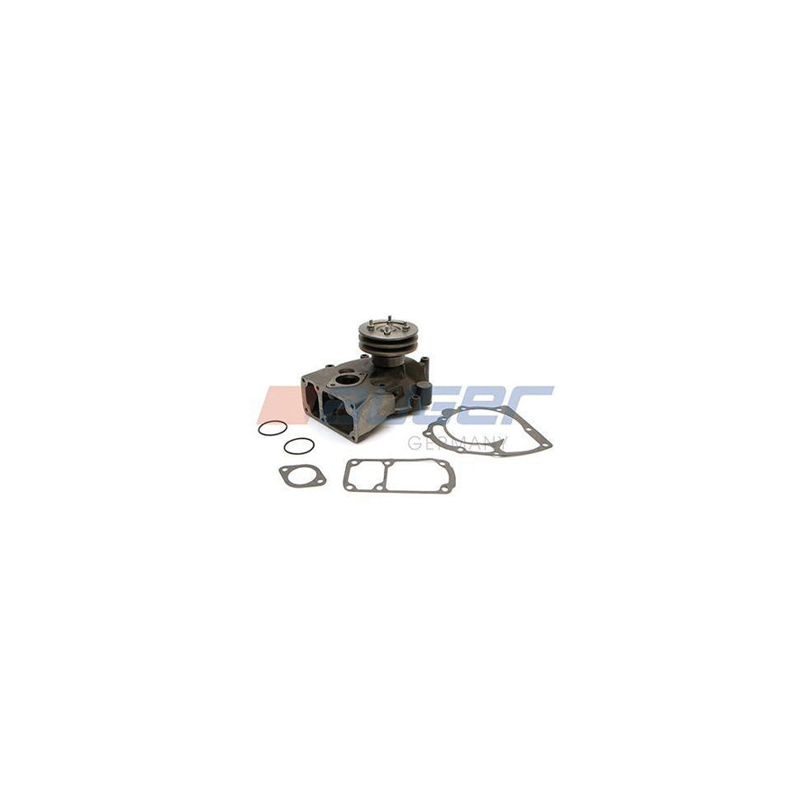 Auger 57721 Water Pump