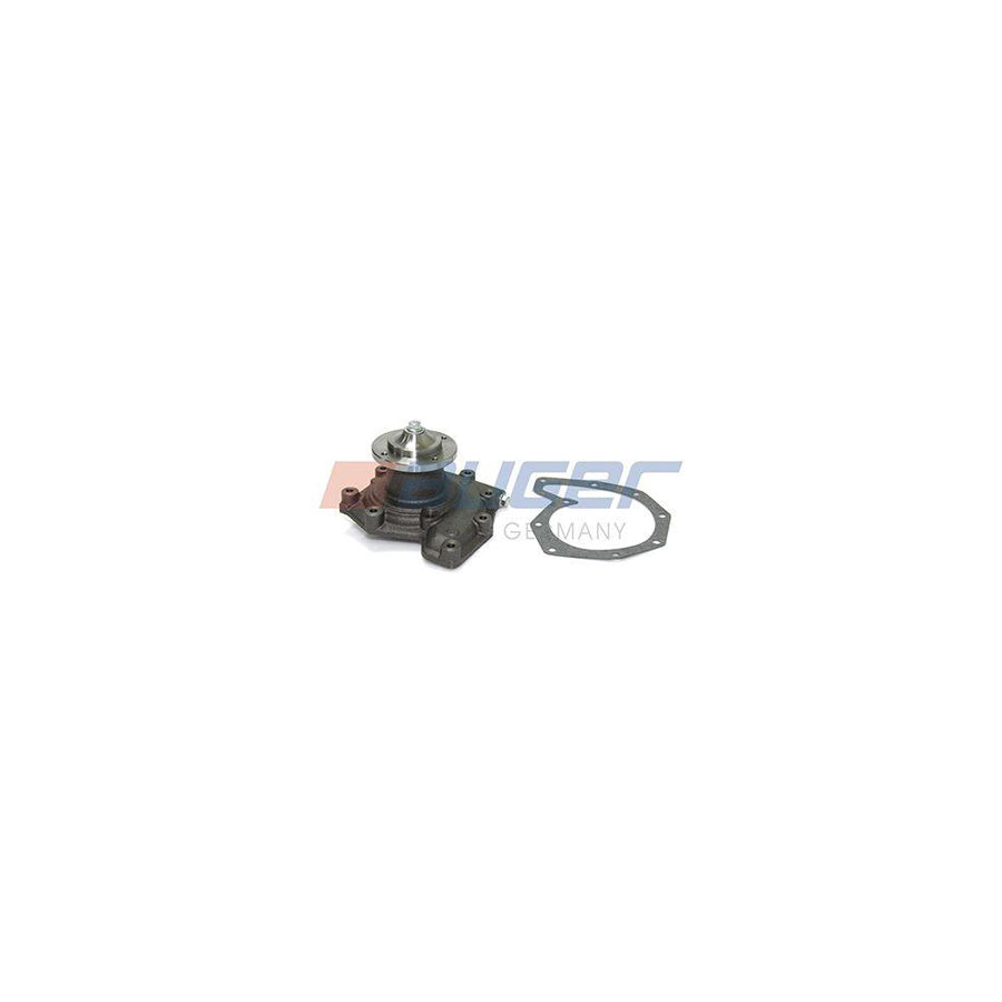 Auger 57787 Water Pump