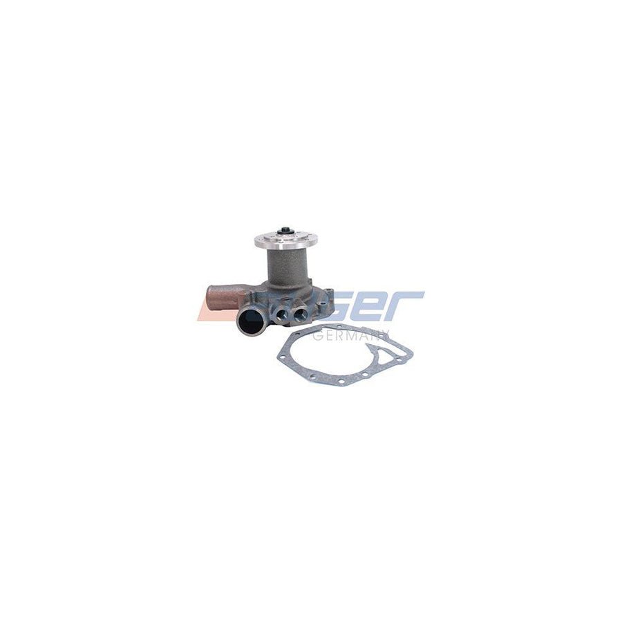 Auger 57784 Water Pump