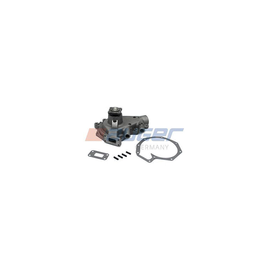 Auger 57778 Water Pump