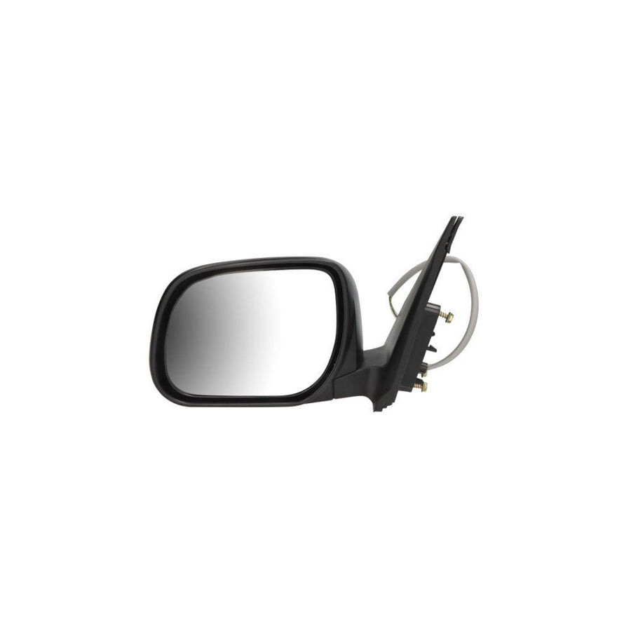 Blic 5402-04-9921999P Wing Mirror For Toyota Rav4 III Off-Road (Xa30)