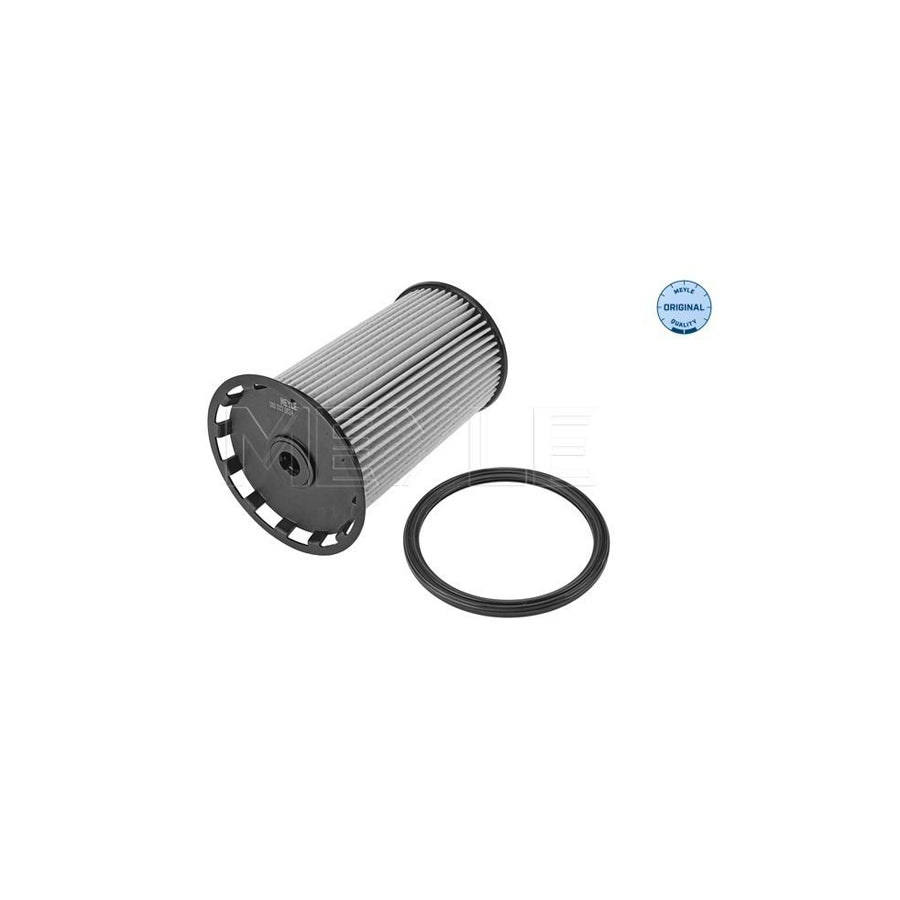 Meyle 100 323 0024 Fuel Filter