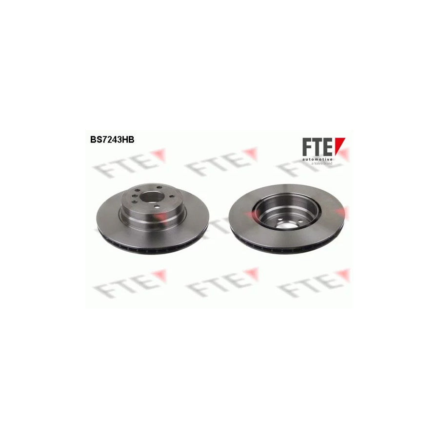 Fte 9081326 Brake Disc | ML Performance UK Car Parts