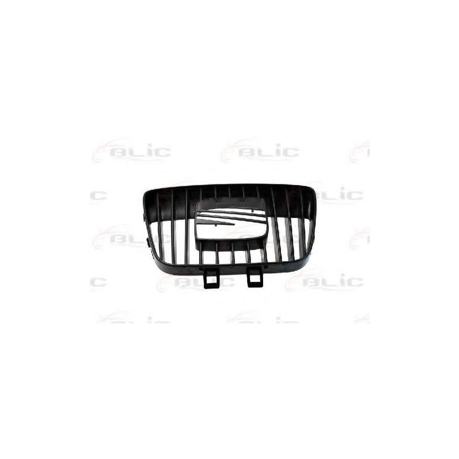 Blic 6502-07-6608991P Radiator Grille