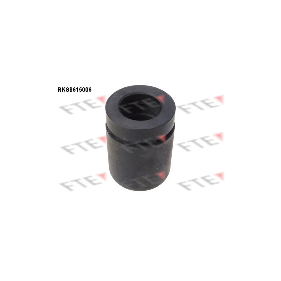 Fte 9313129 Piston, Brake Caliper | ML Performance UK Car Parts