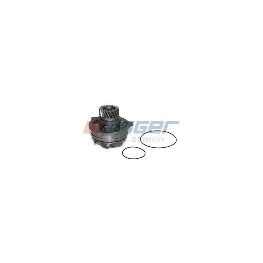 Auger 57797 Water Pump