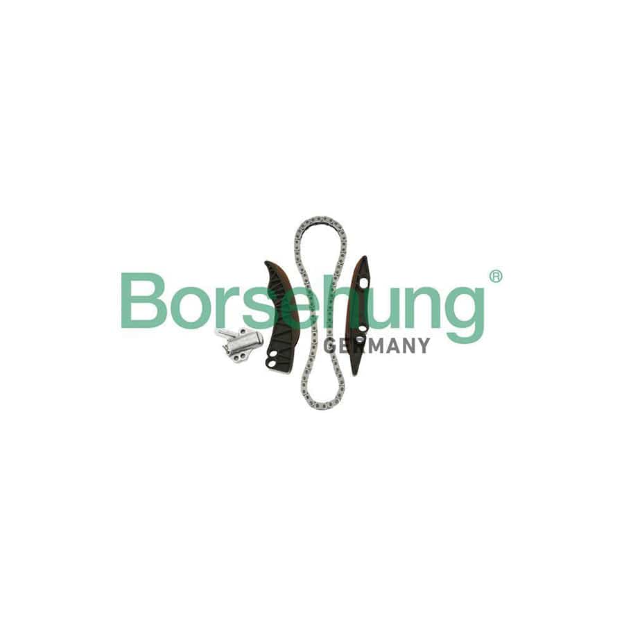 Borsehung B18853 Timing Chain Kit