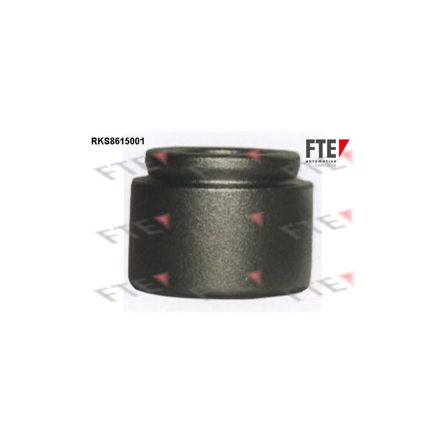 Fte 9313126 Piston, Brake Caliper | ML Performance UK Car Parts