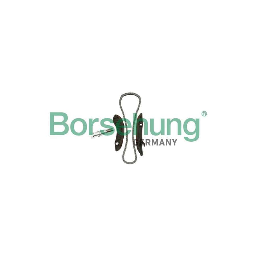 Borsehung B18852 Timing Chain Kit