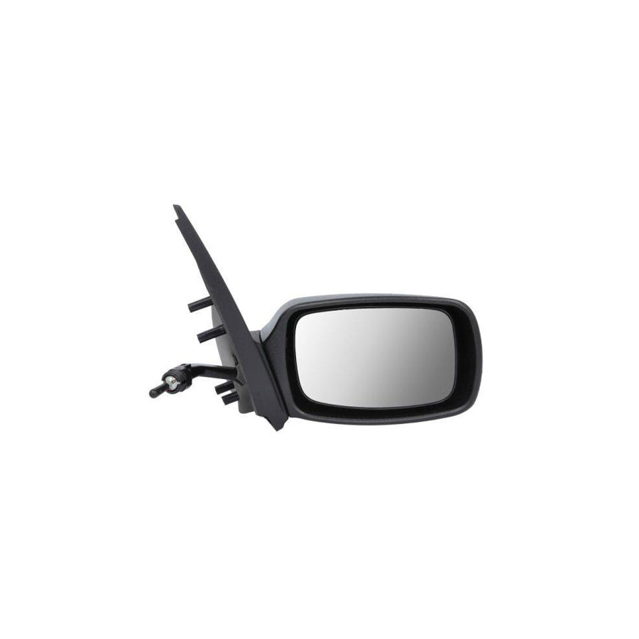 Blic 5402-03-2002826P Wing Mirror For Ford Fiesta