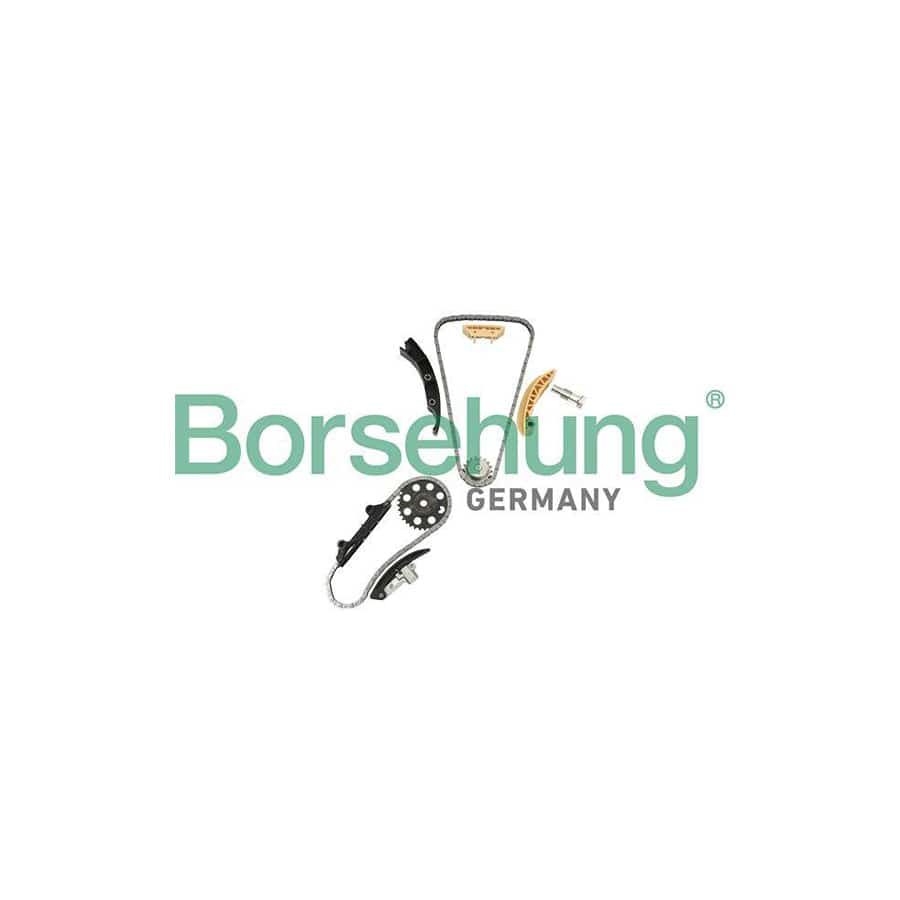 Borsehung B18846 Timing Chain Kit