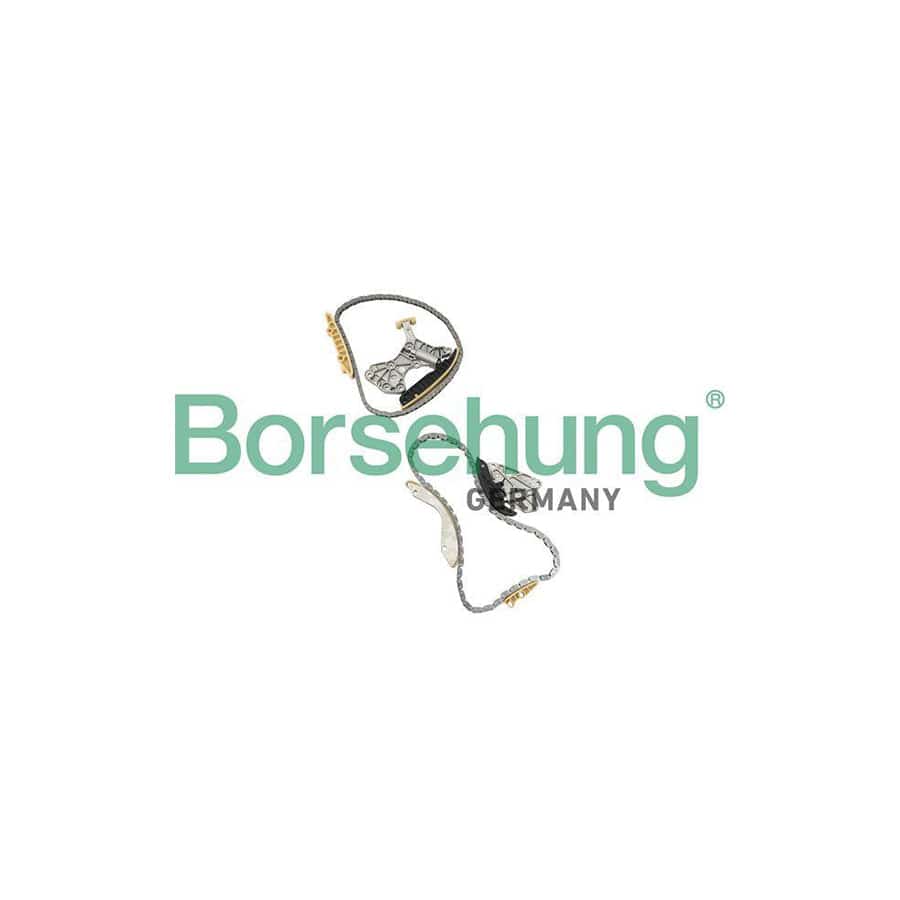 Borsehung B18845 Timing Chain Kit