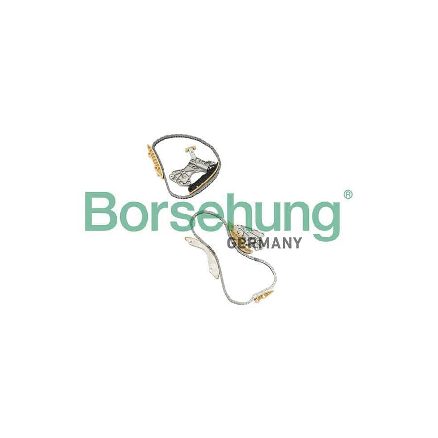 Borsehung B18844 Timing Chain Kit