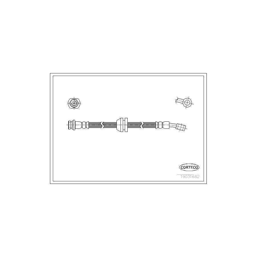 Corteco 19031682 Brake Hose | ML Performance UK