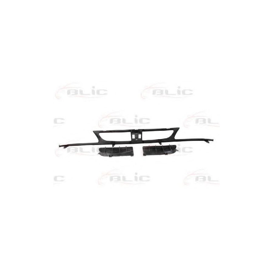 Blic 6502-07-6607992P Radiator Grille