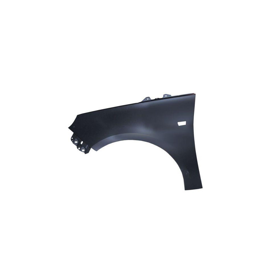 Blic 6504-04-5001311P Wing Fender For Opel Adam (M13)