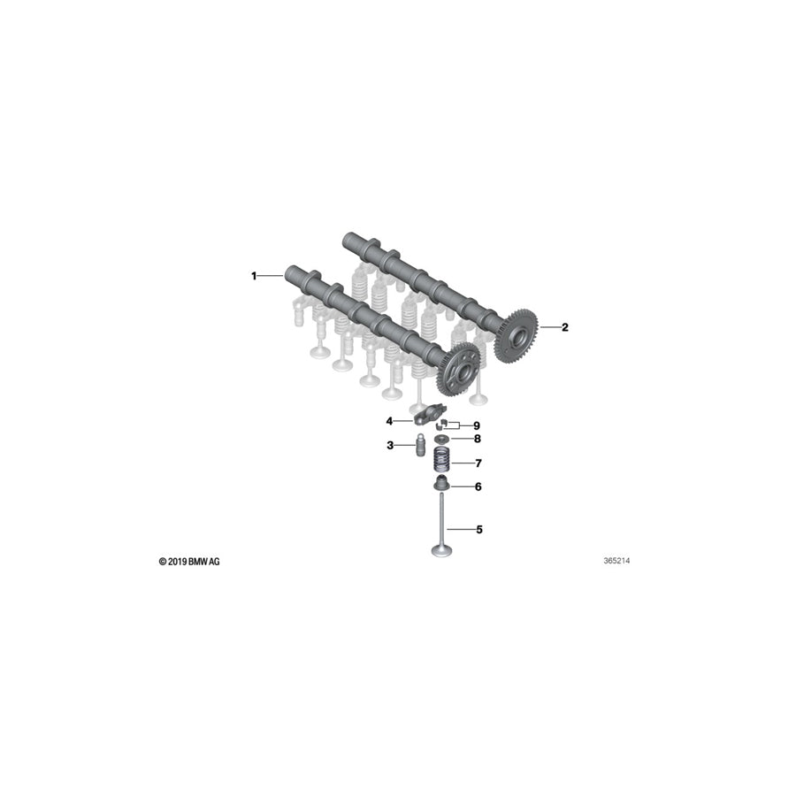 Genuine BMW 11318511209 F45 Camshaft Exhaust (Inc. One D, 216d & 114d) | ML Performance UK Car Parts