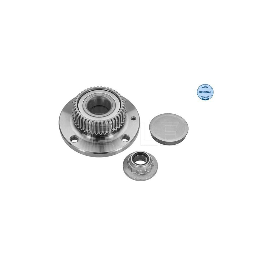 Meyle 100 752 0007 Wheel Bearing Kit