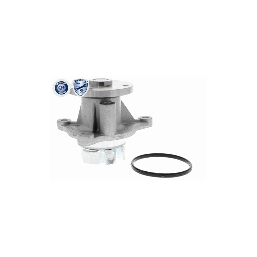 Ackoja A53-50010 Water Pump | ML Performance UK