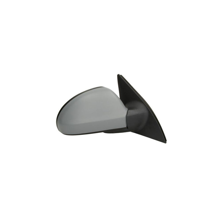 Blic 5402-04-9927134P Wing Mirror