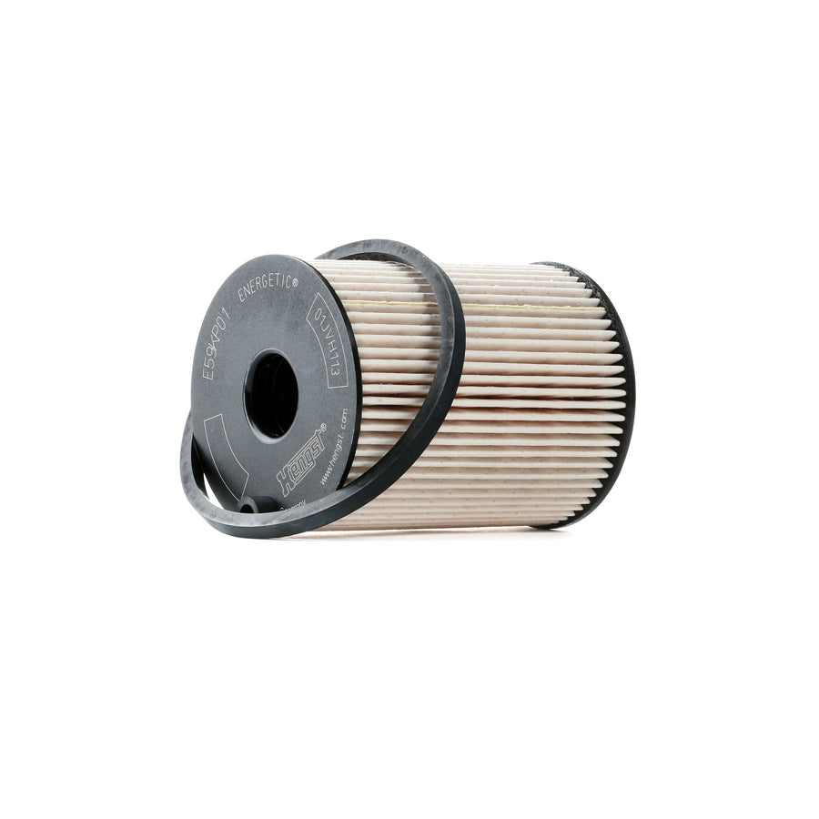 Hengst Filter E59Kp01 D78 Fuel Filter