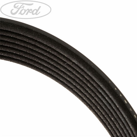 GENUINE FORD 1720651 DRIVE V BELT | ML Performance UK