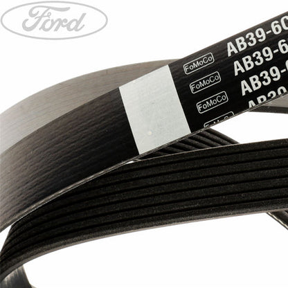 GENUINE FORD 1720651 DRIVE V BELT | ML Performance UK