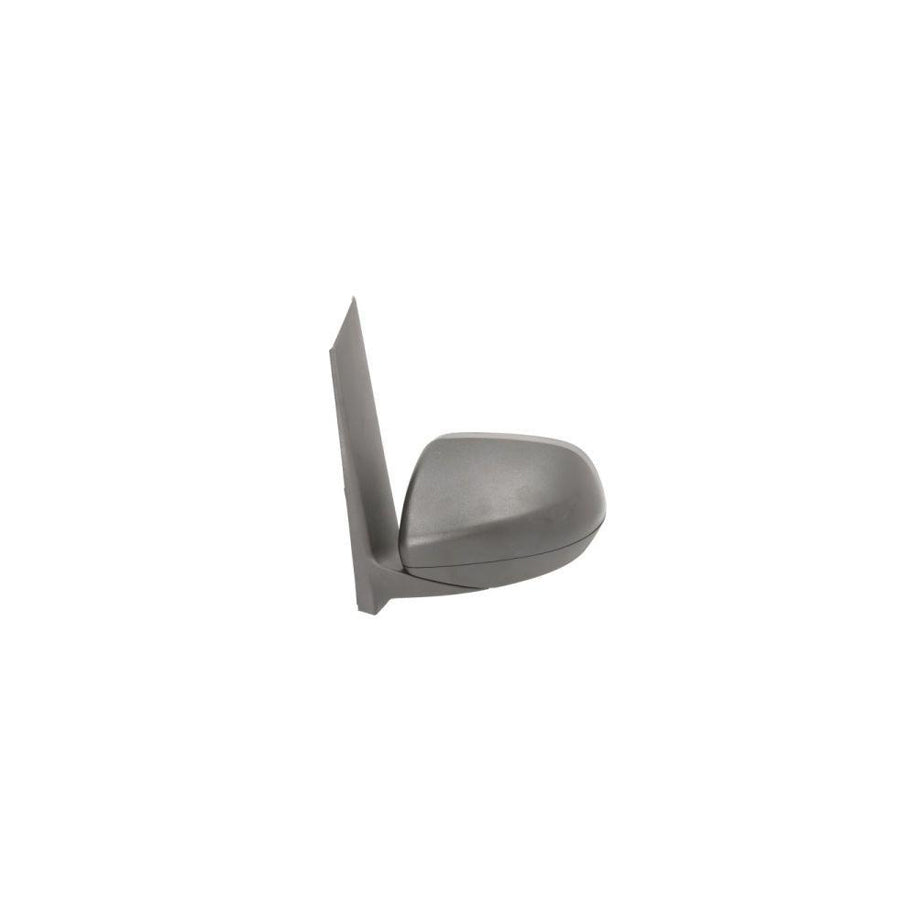 Blic 5402-04-0203891P Wing Mirror