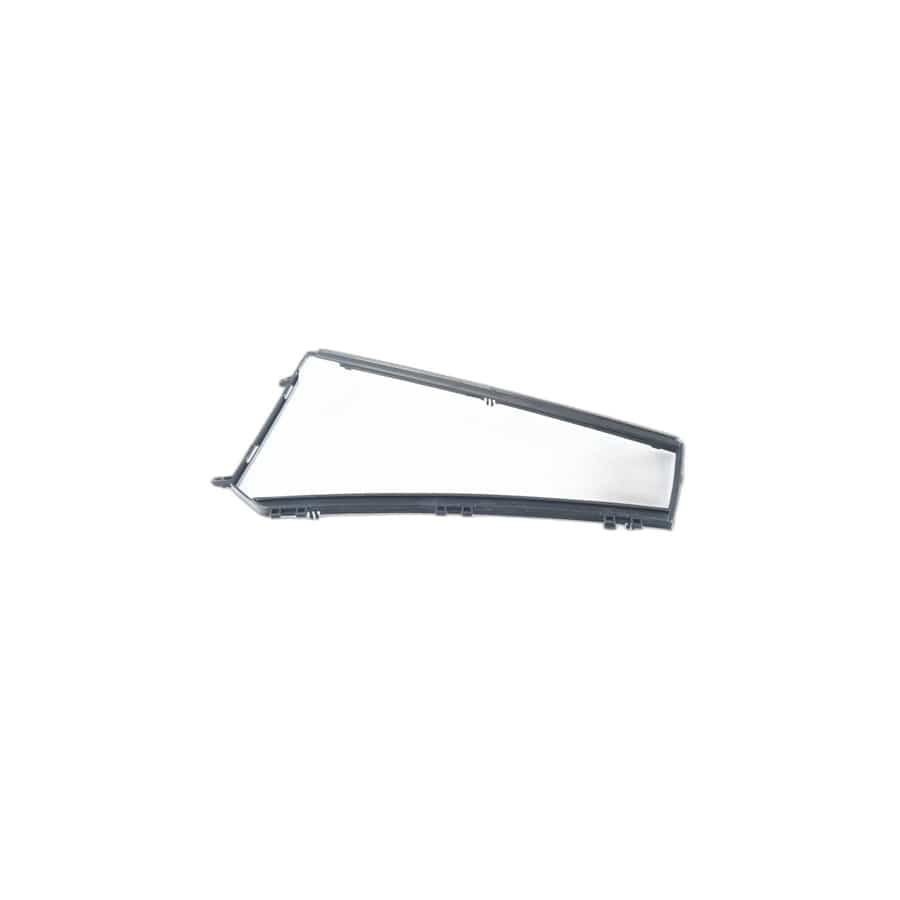 Genuine BMW 51357205603 F25 Frame For Fixed Side Window, Left (Inc. X3 18i) | ML Performance UK Car Parts